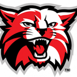 Wildcat logo